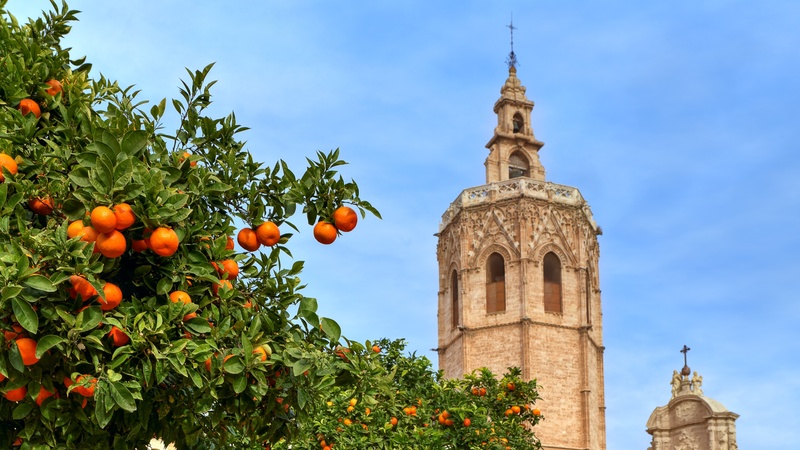 An iconic view of Valencia, Spain