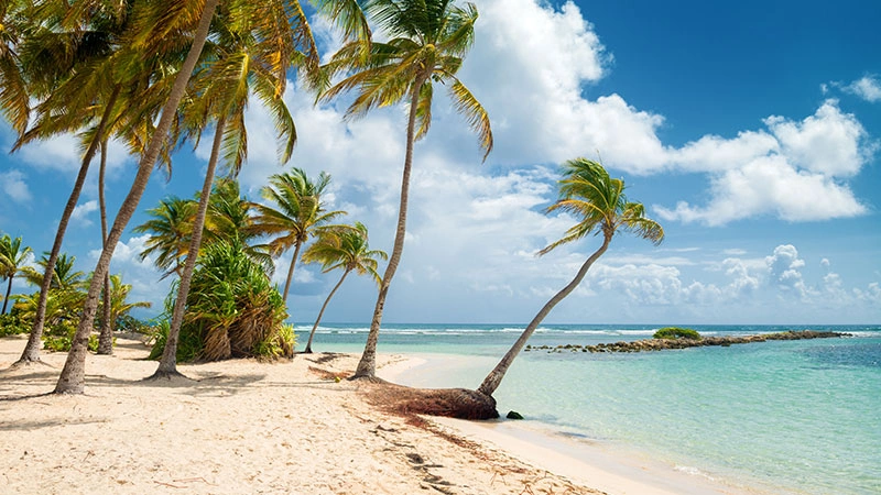 An iconic view of Guadeloupe