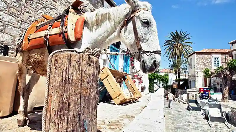 Μια εμβληματική θέα της Ύδρα