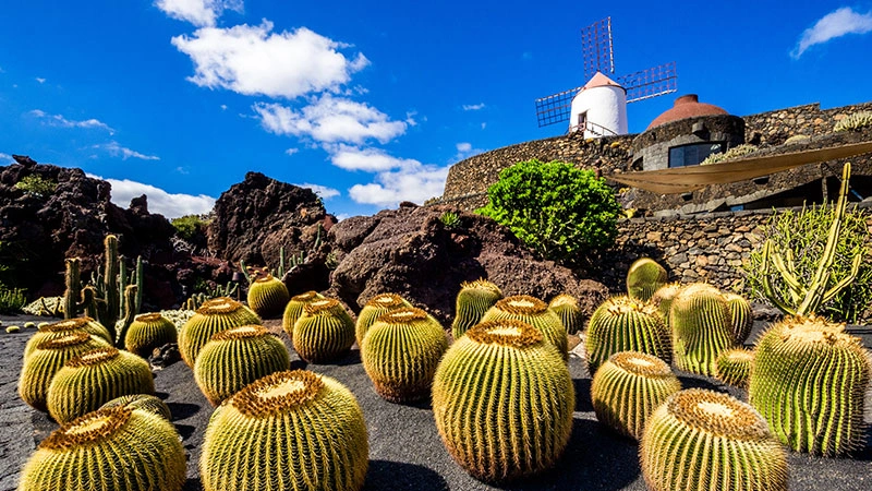 An iconic view of Lanzarote