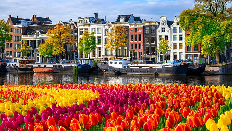 Een iconisch uitzicht op Nederland