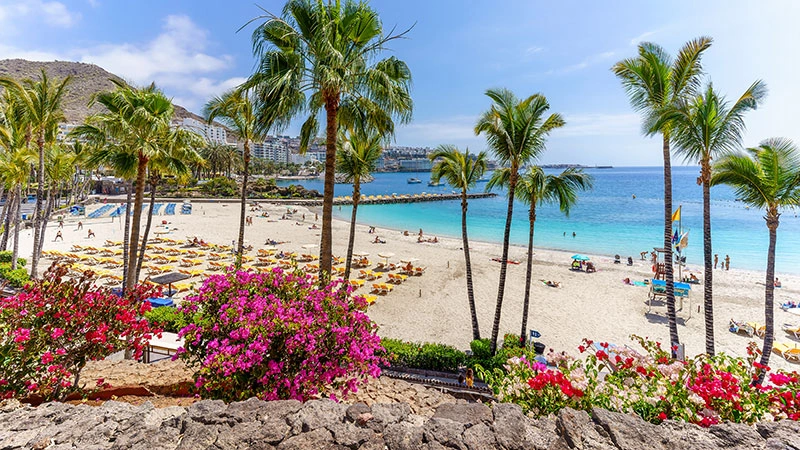 Una vista iconica di Gran Canaria