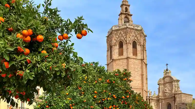 Una vista iconica di Valencia