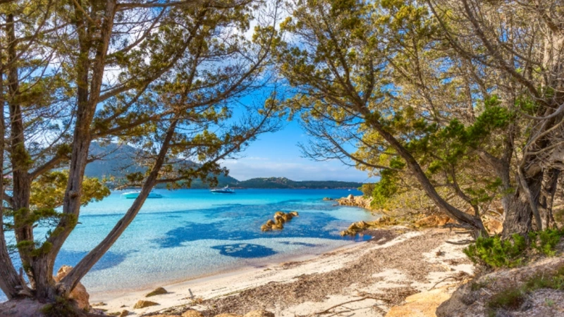 Vue emblématique d'Olbia