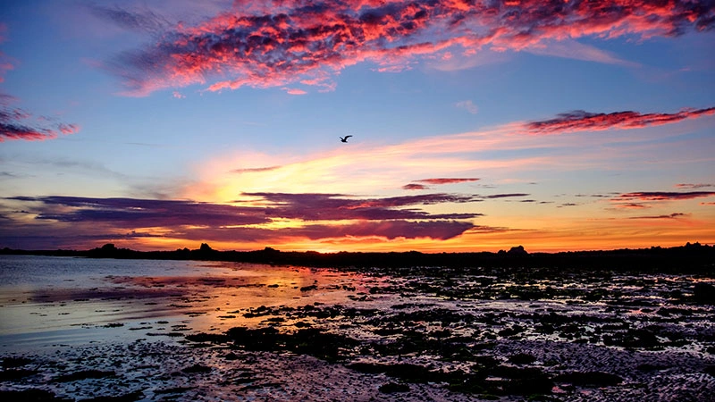 An iconic view of Guernsey