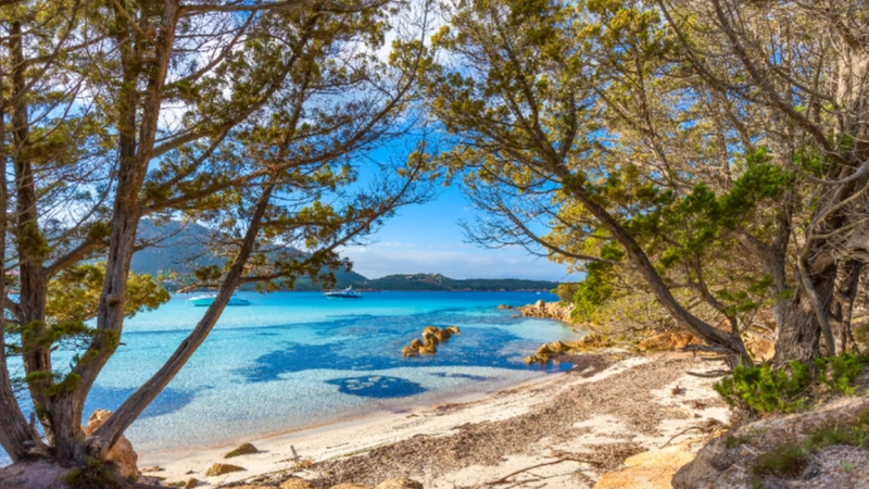 An iconic view of Olbia, Italy