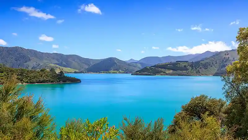 Een iconisch uitzicht van Picton