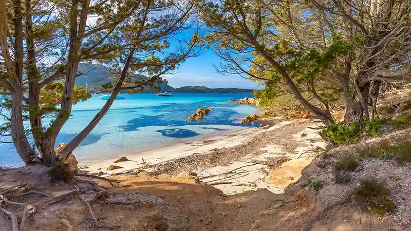 Una vista iconica di Olbia