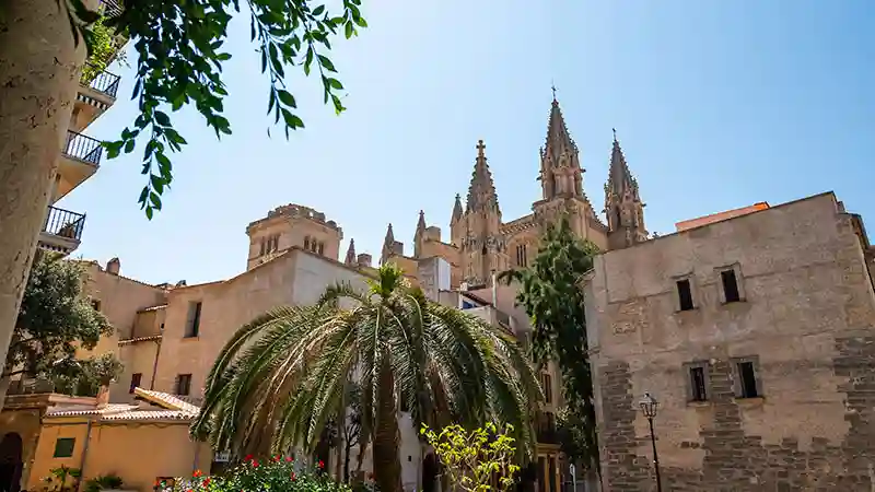 Una vista iconica di Palma di Maiorca